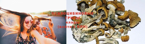 гидра Горняк