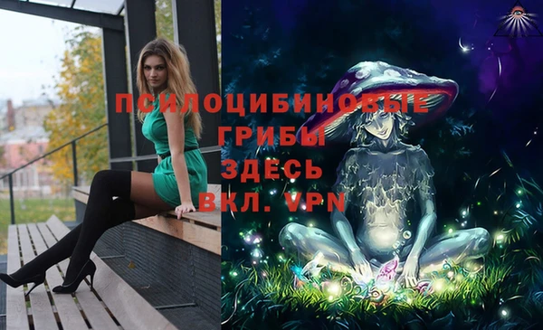 гидра Горняк