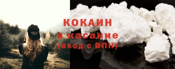 сатива Гусев