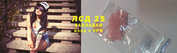сатива Гусев