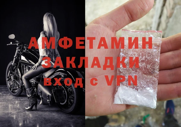 гидра Горняк