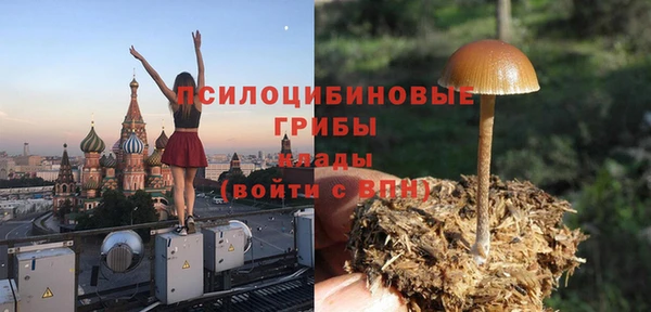 mdpv Горно-Алтайск