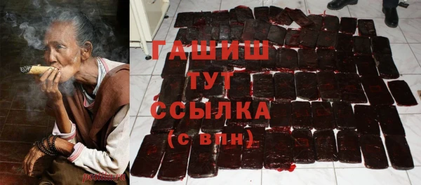 сатива Гусев