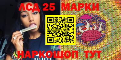 амф Ярославль