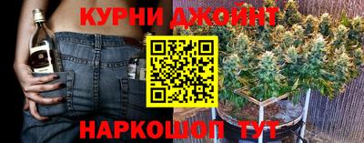 гидра Ярцево