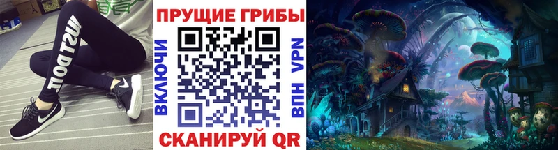 купить   Моршанск  Псилоцибиновые грибы Cubensis 