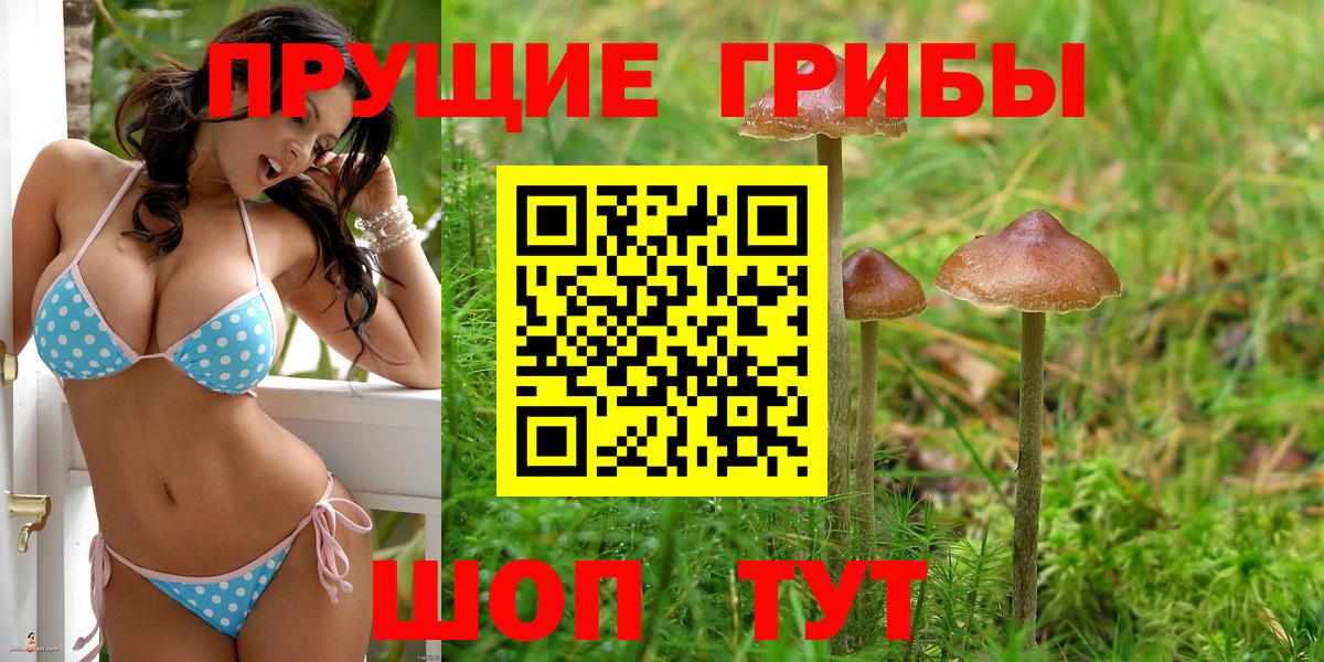 Псилоцибиновые грибы Psilocybine cubensis Моршанск