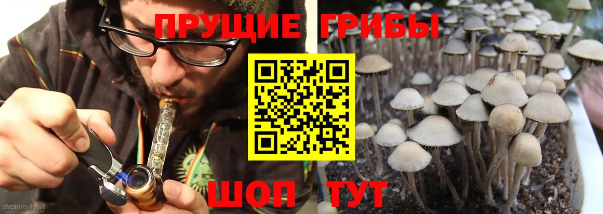 Моршанск  Псилоцибиновые грибы прущие грибы  Галлюциногенные грибы мухоморы  Вход с VPN 