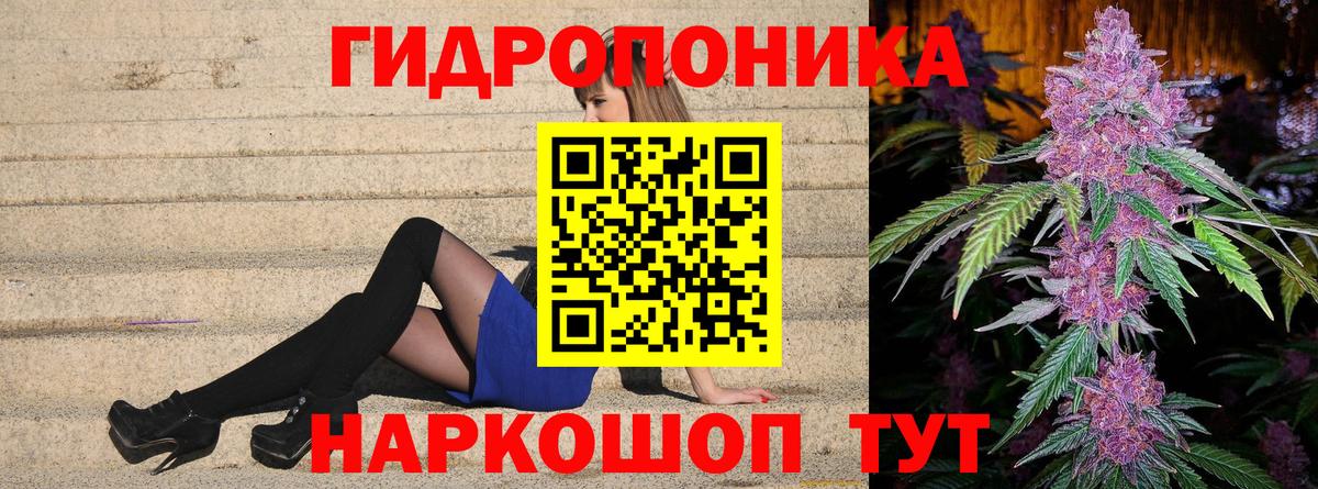 Бошки марихуана ГИДРОПОН  Конопля SATIVA & INDICA  Каннабис конопля  Вход с VPN  Моршанск 